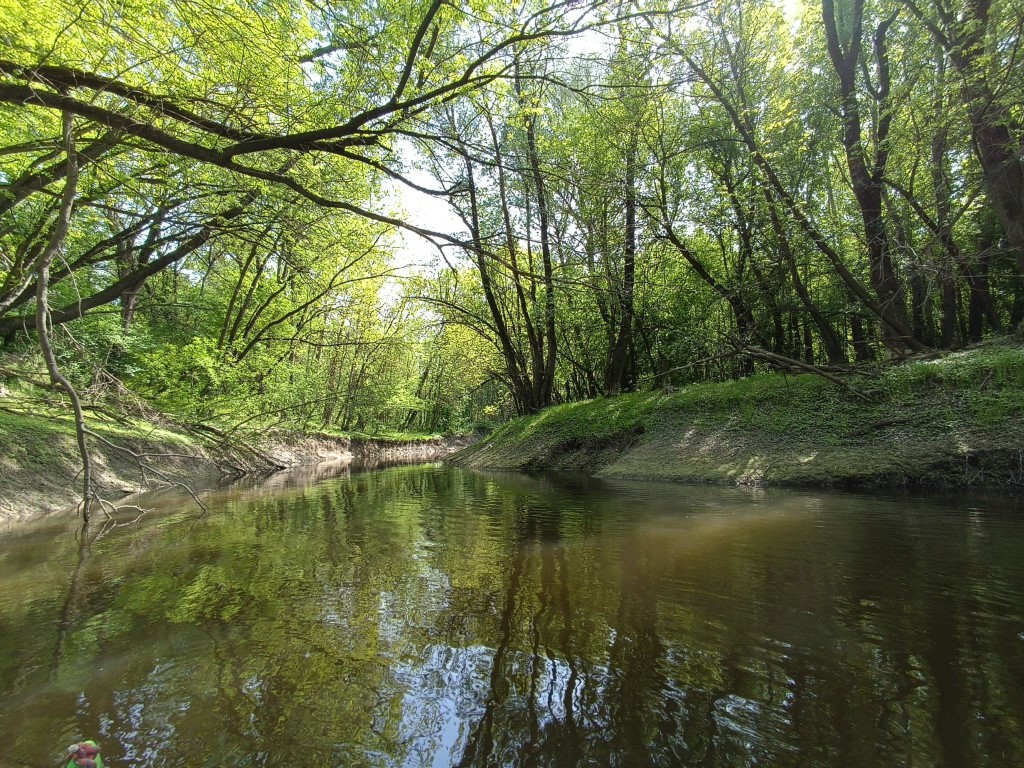Ős-Duna vízitúra Dusnok és Baja között – tavaszi evezés